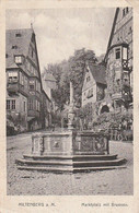 AK Miltenberg A.M. - Marktplatz Mit Brunnen - Feldpost Bahnpost 1917 (61121) - Miltenberg A. Main