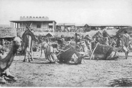 DJIBOUTI ( Série Djibouti Vers 1900 ) Station Des Caravanes - CPSM GF (Sté Djiboutienne D'édition - Réédition ) Afrique - Djibouti