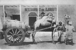 DJIBOUTI ( Série Djibouti Vers 1900 ) Marché Aux Bestiaux - CPSM GF (Sté Djiboutienne D'édition - Réédition ) Afrique - Djibouti