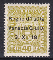 Delcampe - Italy Venezia Giulia 1918 Sassone#10 Mint Hinged - Venezia Julia