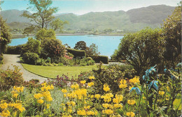 Primula Helodoxa In Inverewe Garden - Wester Ross - Ross & Cromarty