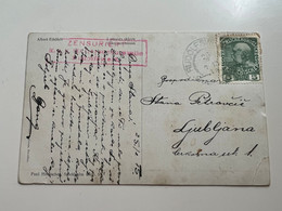 Slovenia (Austria - Hungary)  1915 Postcard  With Stamp  RUDOLFSWERT / Rudolfovo (No 895) - Slovenia
