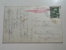 Slovenia (Austria - Hungary)  1916 Postcard  With Stamp  Töplitz Bei Rudolfswerth / TOPLICE PRI NOVEM MESTU (No 896) - Slovenia