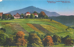 Restaurant Pension Gubel Bei Menzingen         Ca. 1910 - Menzingen