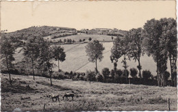 9. - Westouter - Rode Berg Panorama - Mont Rouge - Heuvelland