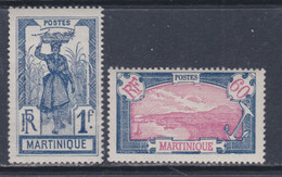 Martinique N° 102 + 104 XX  Partie De Série : Les 2 Valeurs Sans Charnière, TB - Timbres-taxe