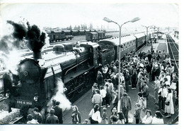 14 - Mezidon - La 231 PACIFIC En Gare, En Septembre 1983 - (léger Pli En Bas à Droite) - Trains