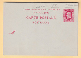 498/37 -- REIMPRESSION Carte Postale No 13 - Etat NEUF - Briefkaarten 1871-1909