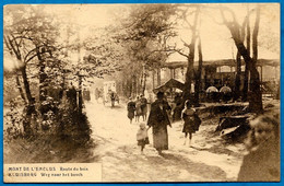 CPA Belgique Belgie Hainaut MONT-de-L'ENCLUS - Route Du Bois (KLUISBERG Weg Naar Het Bosch) ° Gyselynck) - Kluisbergen