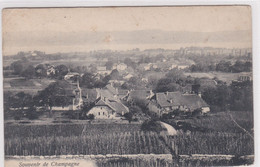 Champagne, Souvenir De...Vignoble - Champagne