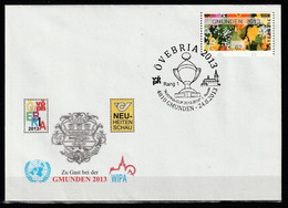 Österreich 2013 Automatenmarke Blumen Mi ATM31 FDC Ersttag - Automatenmarken [ATM]