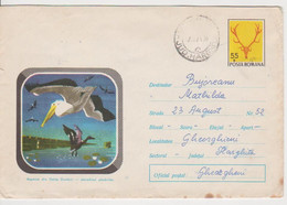 BIRD BIRDS PELICANS THE DUCK  ROMANIA STATIONERY - Pélicans