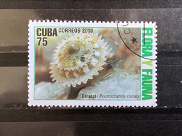 Cuba - Flora En Fauna (75) 2010 - Usati