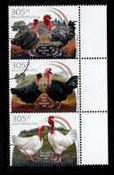 HUNGARY - 2022. SPECIMEN Native Hungarian Poultry Breeds / Birds  MNH!! - Proeven & Herdrukken