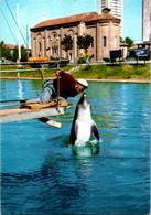 (2 G 59) Italy - Casenatico - Dolphin Show - Dauphins