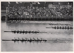53949 - Deutsches Reich - 1936 - Olympiade, Sammelwerk Nr. 14, Gruppe 58, Bild 113 - Sonstige & Ohne Zuordnung