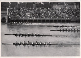 53949 - Deutsches Reich - 1936 - Olympiade, Sammelwerk Nr. 14, Gruppe 58, Bild 113 - Otros & Sin Clasificación