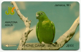 Jamaica - AMAZONA AGILIS - 5JAMG - Jamaica