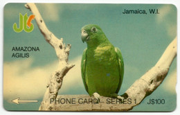 Jamaica - AMAZONA AGILIS - 7JAMB - Jamaica