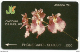 Jamaica - ONCIDIUM PULCHELLUM - 8JMAB - Jamaica