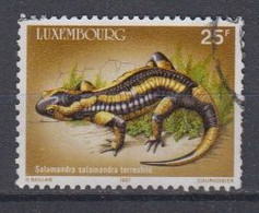 LUXEMBURG - Michel - 1987 - Nr 1171 - Gest/Obl/Us - Used Stamps