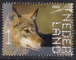 Nederland - Beleef De Natuur - 15 Augustus 2022 - Leuvenumse Bossen - Wolf (Canis Lupus )- MNH - Game