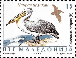 REPUBLIC OF MACEDONIA, 1995, STAMPS, MICHEL 56 - BIRDS-Pelecanus Crispus + - Macedonia