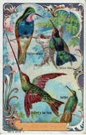 59--LA  MADELEINE-NOUVELLE EPICERIE DU NORD-COLIBRIS - La Madeleine