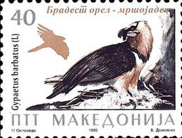 REPUBLIC OF MACEDONIA, 1995, STAMPS, MICHEL 57 - BIRDS-Gypaetus Barbatus + - Macedonia