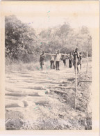 Pont Kasekenge - Congo - Afrika