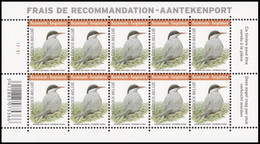 4306** PLANCHE I - Sterne Arctique / Arctische Achtersteven / Arktisches Heck / Sterna Paradisaea - BUZIN - RECOMMANDÉ - 2011-..