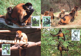 WWF Honduras 1990 Beautiful Maxi Cards Spider Monkey - Mono
