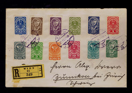 Gc6990 AUTRICHE Cover 1919 Mailed Zumikon - Altri & Non Classificati