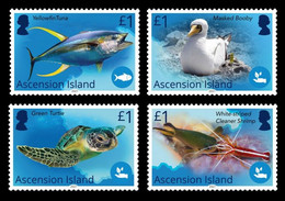 ASCENSION ISLAND 2021 FAUNA Animals FISH BIRD TURTLE SQUID SHRIMP - Fine Set MNH - Ascension (Ile De L')