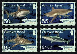 ASCENSION ISLAND 2022 FAUNA Animals. Fish SHARKS - Fine Set MNH - Ascension (Ile De L')