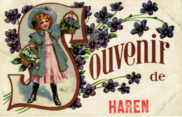 Souvenir De Haren 1909 - Bruxelles-ville