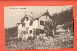 ZRM-38 Dombresson Val De Ruz. Pension Les Roses.  ANIME. Fehlmann  Sans Numéro  NC - Dombresson 