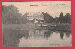 Brasschaet - Kasteel Osterrieth - 1919 ( Verso Zien ) - Brasschaat