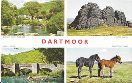 DARTMOOR - Dartmoor