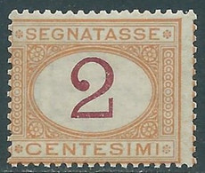 1870-74 REGNO SEGNATASSE 2 CENT MNH ** - I38-5 - Taxe