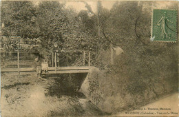 Mézidon * Vue Sur La Dives * Passerelle Pont - Autres & Non Classés