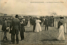 Deauville Sur Mer * Vue Sur Le Champ De Courses * La Pelouse * Hippodrome Hippique Hippisme - Deauville