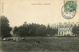 Tilly Sur Seulles * Vue Sur Le Château Du Village - Autres & Non Classés