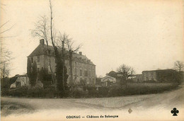 Cognac * Route Et Le Château De Solençon - Cognac