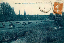Montignac * Vue Sur La Prairie * Troupeau Vaches - Autres & Non Classés