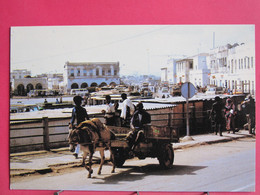Djibouti - Transport Traditionnel - Âne - R/verso - Djibouti