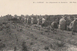 CARNAC. - Les Alignements De Kermario. Cliché RARE - Dolmen & Menhire