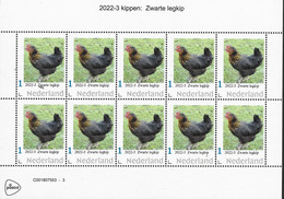 Nederland  2022-3  Kippen Chicken: Zwarte Legkip   Vel-sheetlet   Postfris/mnh/neuf - Unused Stamps