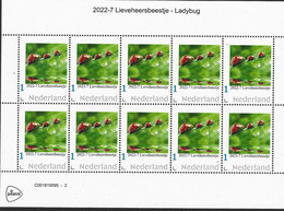Nederland  2022-7  Nature:  Lieveheersbeestje - Ladybug  Vel-sheetlet   Postfris/mnh/neuf - Nuovi