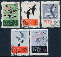 SOVIET UNION 1962 Protected Birds Used.  Michel 2688-92 - Usados